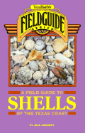 Texas Monthly Field Guide to Shells of the Texas Coast