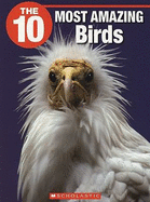 The 10 Most Amazing Birds