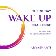 The 30-Day Wake Up Challenge: A Direct Way to Spiritual Liberation