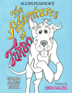 The Adventures of Turbo-Color Along Book: Color Along Book