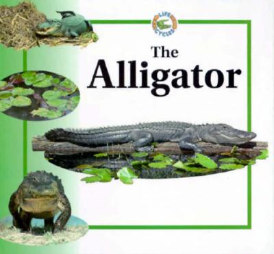 The Alligator - Crewe, Sabrina