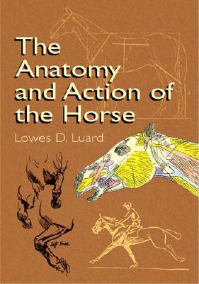 The Anatomy and Action of the Horse - Luard, Lowes Dalbiac