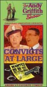 The Andy Griffith Show: Convicts at Large
