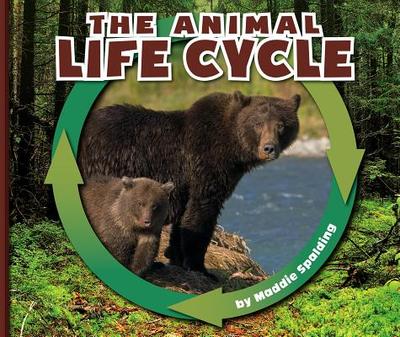 The Animal Life Cycle - Spalding, Maddie