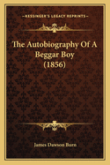 The Autobiography of a Beggar Boy (1856)