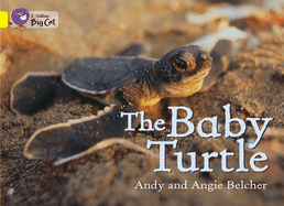 The Baby Turtle: Band 03/Yellow