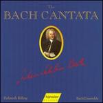 The Bach Cantata, Vol. 28