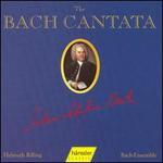 The Bach Cantata, Vol. 37 - Adalbert Kraus (tenor); Arleen Augér (soprano); Gabriele Schnaut (alto); Helen Watts (alto); Judith Beckmann (soprano);...