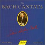 The Bach Cantata, Vol. 44