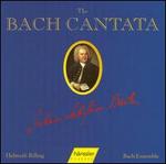 The Bach Cantata, Vol. 63 - Adalbert Kraus (tenor); Ann Murray (alto); Arleen Augr (soprano); Hanns-Friedrich Kunz (bass); Hildegard Laurich (alto);...