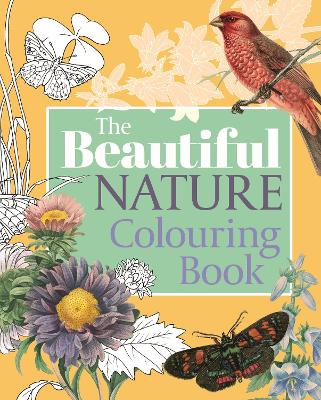 The Beautiful Nature Colouring Book - Arcturus Publishing Limited