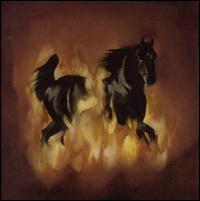 The Besnard Lakes Are the Dark Horse - The Besnard Lakes