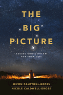 The Big Picture: Seeing God's Dream for Your Life