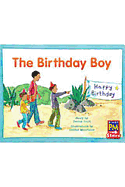 The Birthday Boy: Individual Student Edition Green (Levels 12-14)