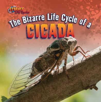 The Bizarre Life Cycle of a Cicada - Roza, Greg