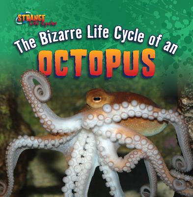 The Bizarre Life Cycle of an Octopus - Shea, Therese M