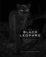 The Black Leopard: My Quest to Photograph One of Africa's Most Elusive Big Cats