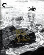The Black Stallion [Criterion Collection] [Blu-ray]