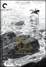 The Black Stallion [Criterion Collection]