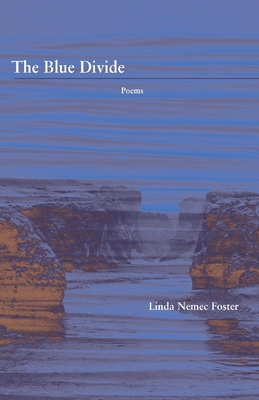 The Blue Divide - Foster, Linda Nemec