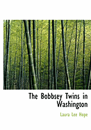 The Bobbsey Twins in Washington