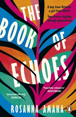 The Book Of Echoes: An astonishing debut. 'Impassioned. Lyrical and affecting' GUARDIAN - Amaka, Rosanna