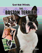 The Boston Terrier