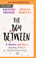 The Boy Between: A Mother and Son's Journey From a World Gone Grey
