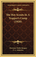 The Boy Scouts in a Trapper's Camp (1920)