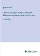 The Boy Scouts on Sturgeon Island; Or, Marooned Among the Game-fish Poachers: in large print