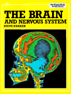 The Brain and Nervous System