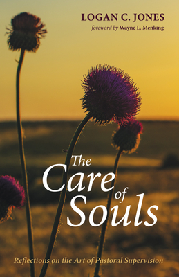 The Care of Souls - Jones, Logan C, and Menking, Wayne L (Foreword by)