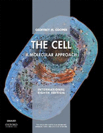 The Cell Xe: A Molecular Approach