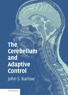 The Cerebellum and Adaptive Control