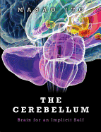 The Cerebellum: Brain for an Implicit Self