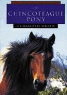 The Chincoteague Pony