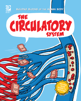 The Circulatory System - Midthun, Joseph