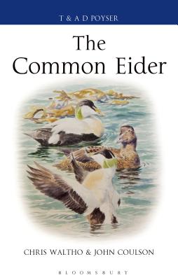 The Common Eider - Waltho, Chris, and Coulson, John