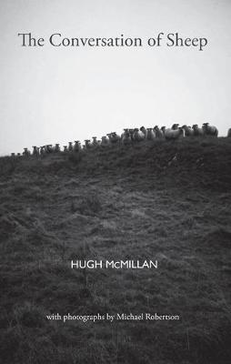 The Conversation of Sheep - McMillan, Hugh
