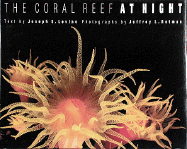 The Coral Reef at Night - Levine, Joseph, and Rotman, Jeffrey L (Photographer)