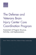 The Defense and Veterans Brain Injury Center Care Coordination Program: Assessment of Program Structure, Activities, and Implementation