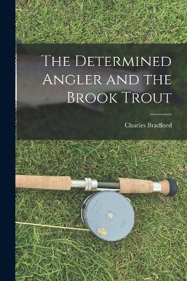 The Determined Angler and the Brook Trout - Bradford, Charles