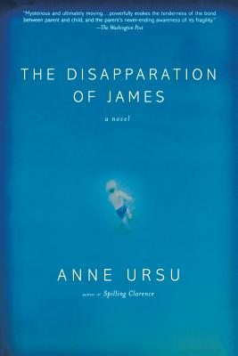 The Disapparation of James - Ursu, Anne