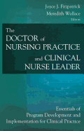 The Doctor of Nursing Practice and Clinical Nurse Leader: Essentials of Program Development and Implementation for Clinical Practice