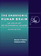 The Embryonic Human Brain: An Atlas of Developmental Stages