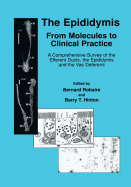 The Epididymis: From Molecules to Clinical Practice: A Comprehensive Survey of the Efferent Ducts, the Epididymis and the Vas Deferens