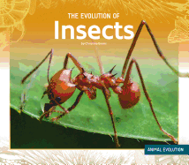 The Evolution of Insects