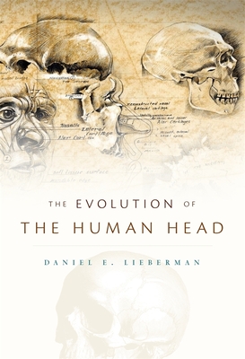 The Evolution of the Human Head - Lieberman, Daniel E.