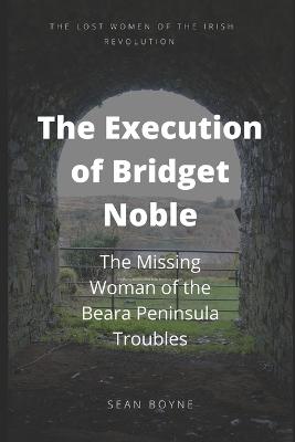 The Execution of Bridget Noble: The Missing Woman of the Beara Peninsula Troubles - Boyne, Sean