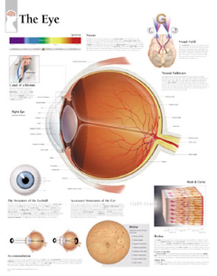 The Eye Chart - Scientific Publishing, and Various